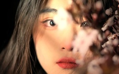 至上励合演唱会